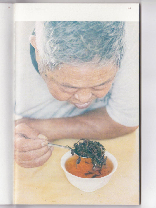 The Leaf, The Hand, The Rhythm