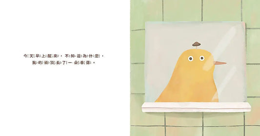 我的頭頂長了一朵香菇
