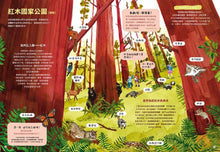 將圖片載入圖庫檢視器 最美的森林 需要我們一起來保護