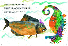 將圖片載入圖庫檢視器 海馬先生