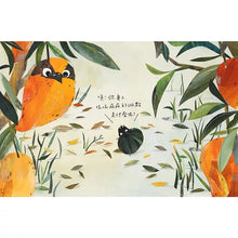 Load image into Gallery viewer, Huh? What is it?