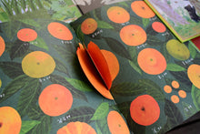 將圖片載入圖庫檢視器 你知我行.里山倡議 (四本一套)