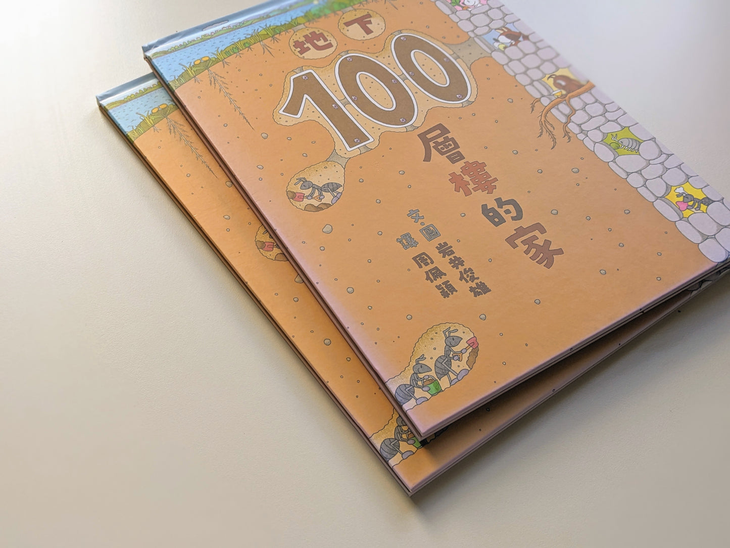 地下100層樓的家(展示書/8成新)