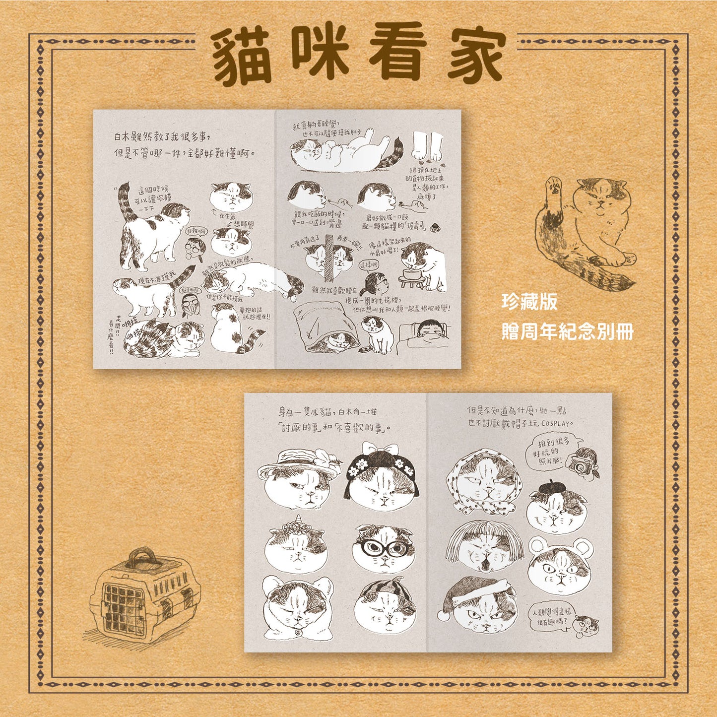 Cat Guarding the House (Collector's Edition)