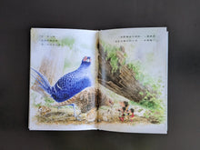 將圖片載入圖庫檢視器 從森林到海洋-小島探險繪本