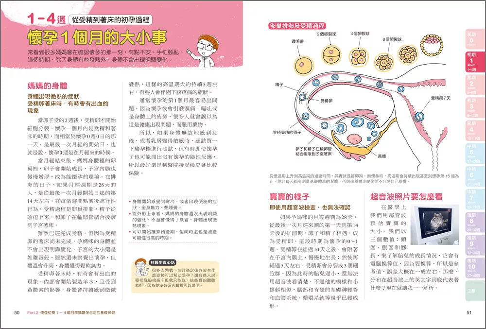 權威醫療團隊寫給妳的懷孕生產書 [全圖解]