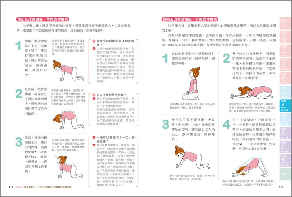 權威醫療團隊寫給妳的懷孕生產書 [全圖解]