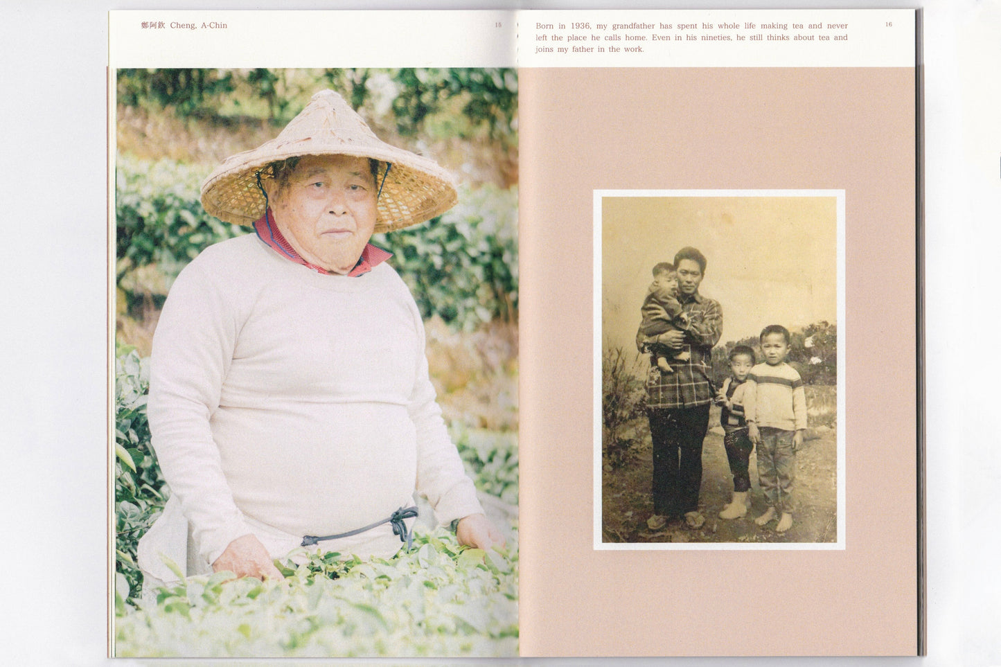 The Leaf, The Hand, The Rhythm