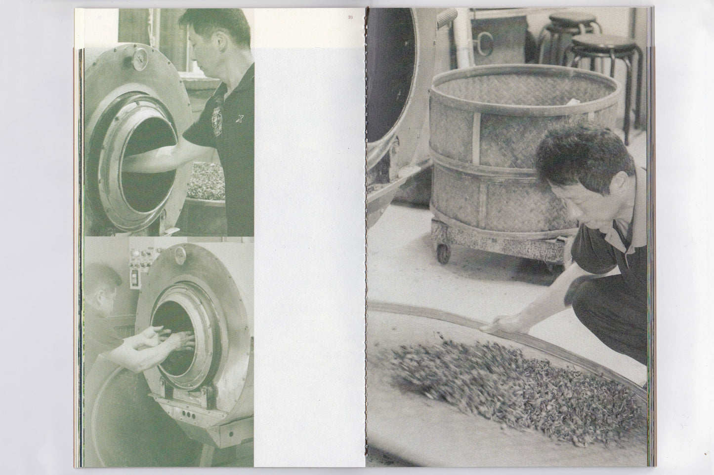 The Leaf, The Hand, The Rhythm