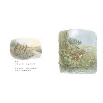 小孩遇見詩－圖畫詩繪本（3歲＋）