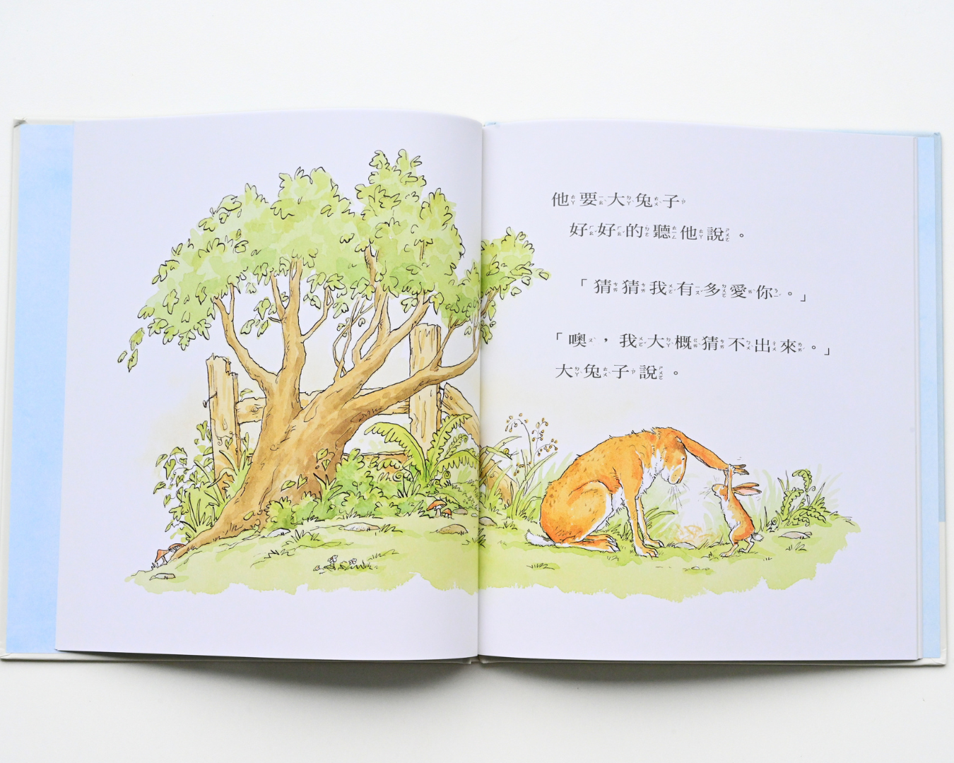 0 - 3 歲寶寶盒