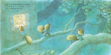 Load image into Gallery viewer, The little squirrel in the forest: a friend of the night
