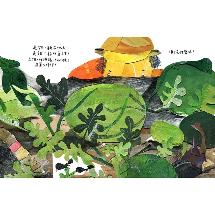 咦？是什麼呢？