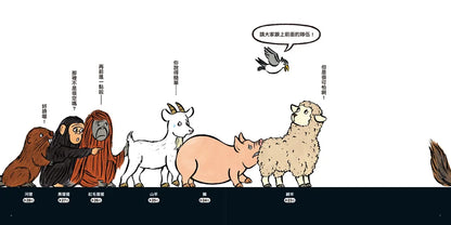 到底在排什麼呢？