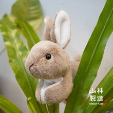 Load image into Gallery viewer, Taiwan native animal magnet puppet (produced by the Forestry Administration)

