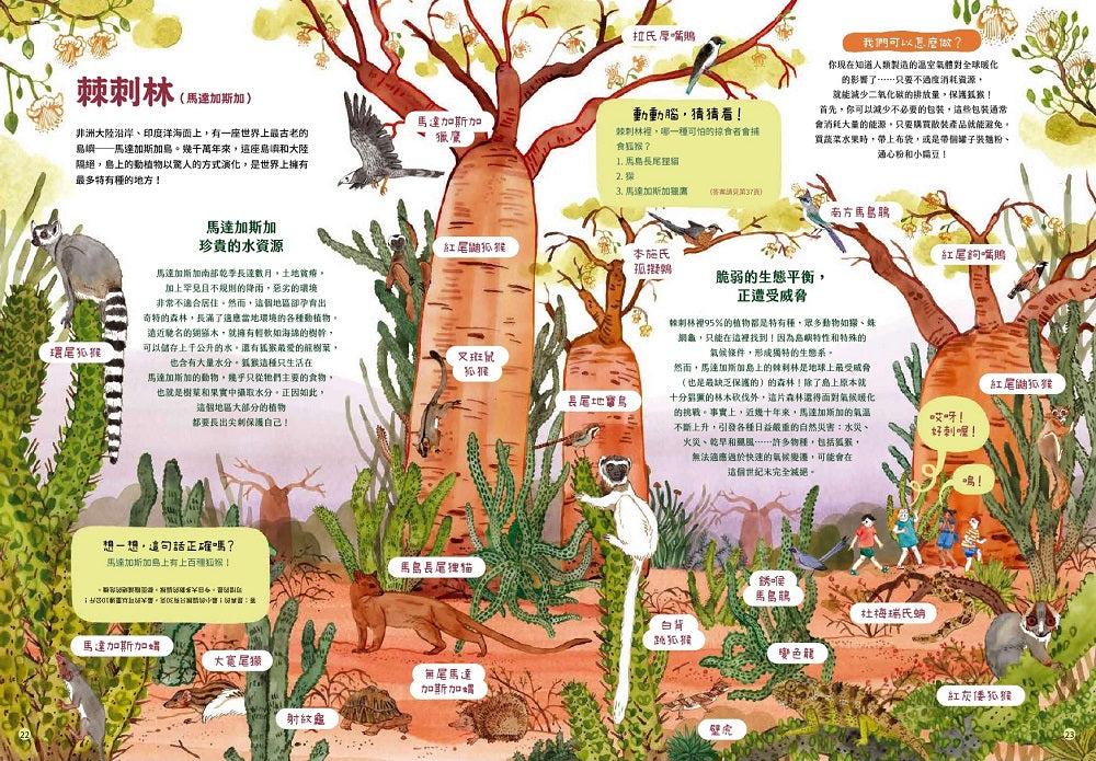 最美的森林 需要我們一起來保護