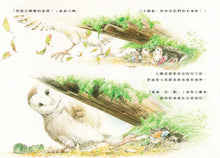 Load image into Gallery viewer, The Three Little Moles: Adventures in the Forest
