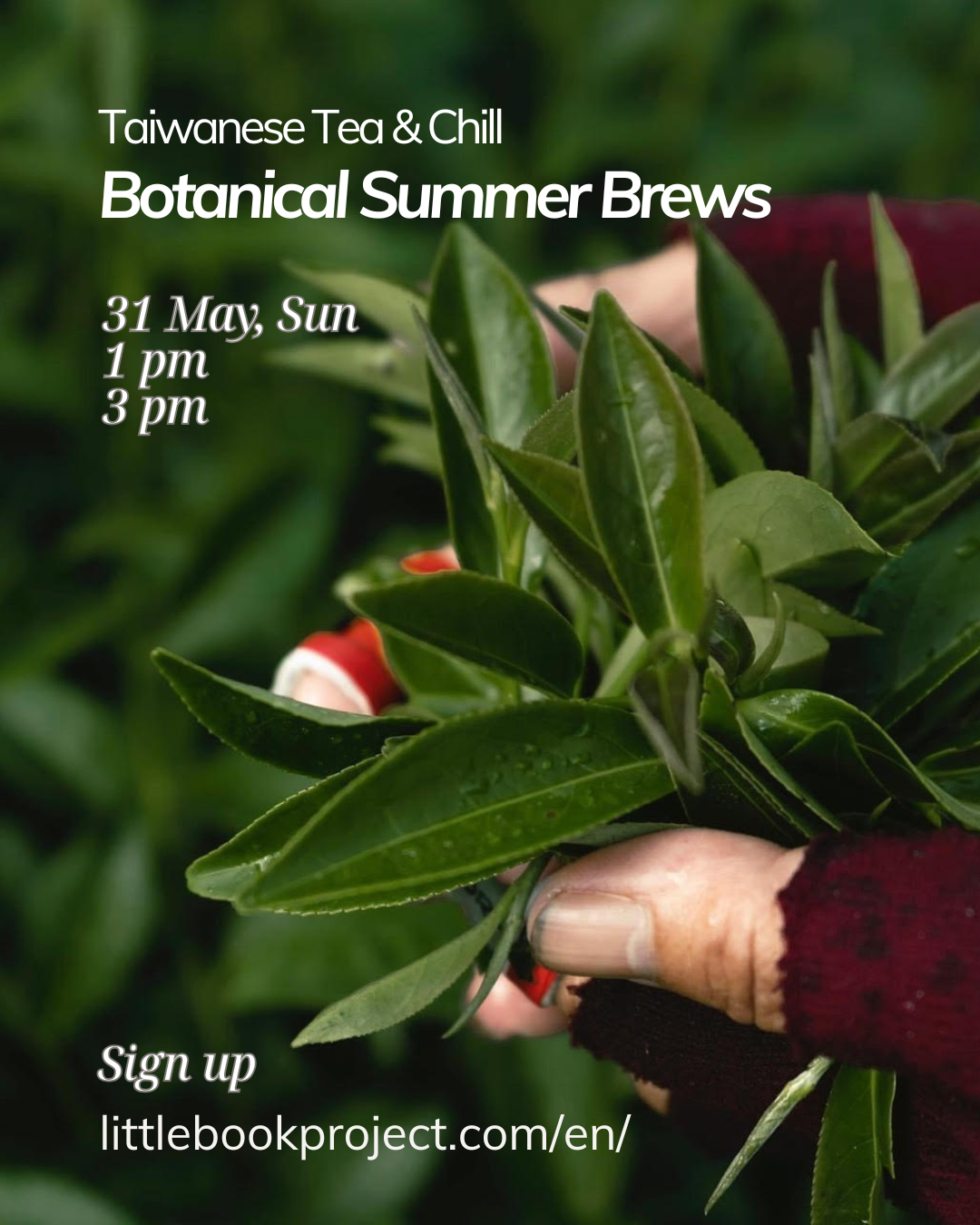 Taiwanese Tea & Chill Workshop (31 May)