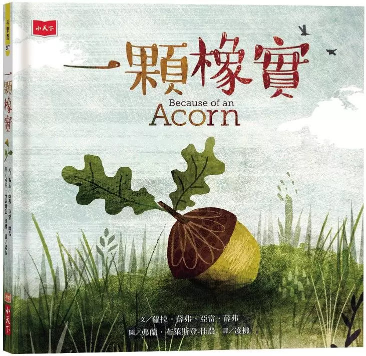 An Acorn (Display Book) 