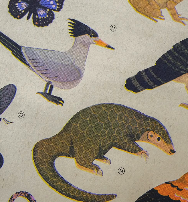 台灣保育動物孔版印刷海報