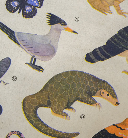 台灣保育動物孔版印刷海報