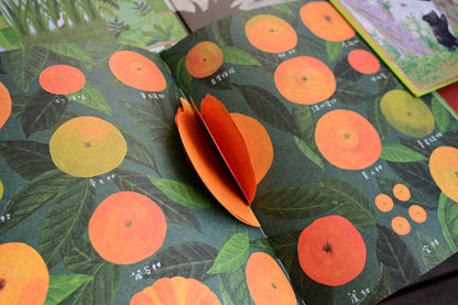 你知我行.里山倡議 (四本一套)