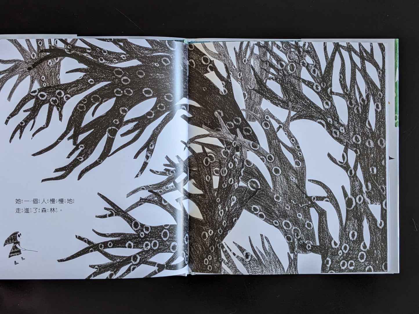 走出森林的小紅帽（展示書）