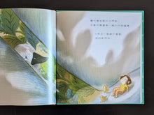 將圖片載入圖庫檢視器 醜小芽兒（展示書）
