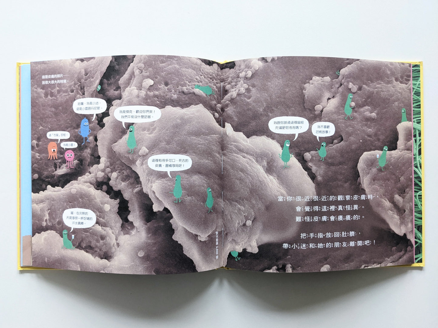 不要舔這本書（展示書）