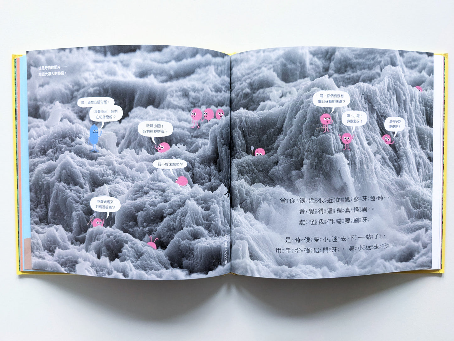 不要舔這本書（展示書）