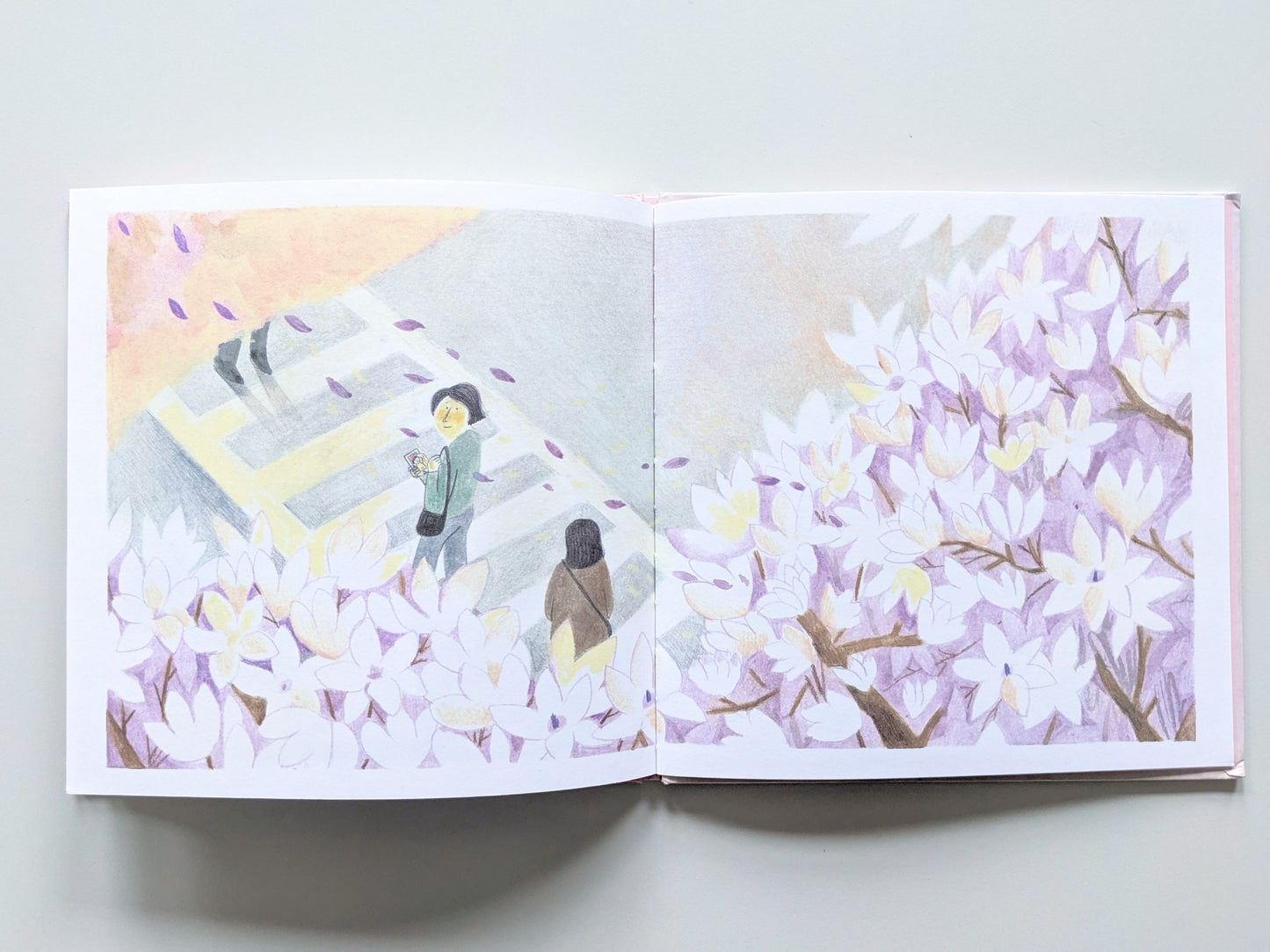 Three Mothers, Three Bentos (Display Book) 