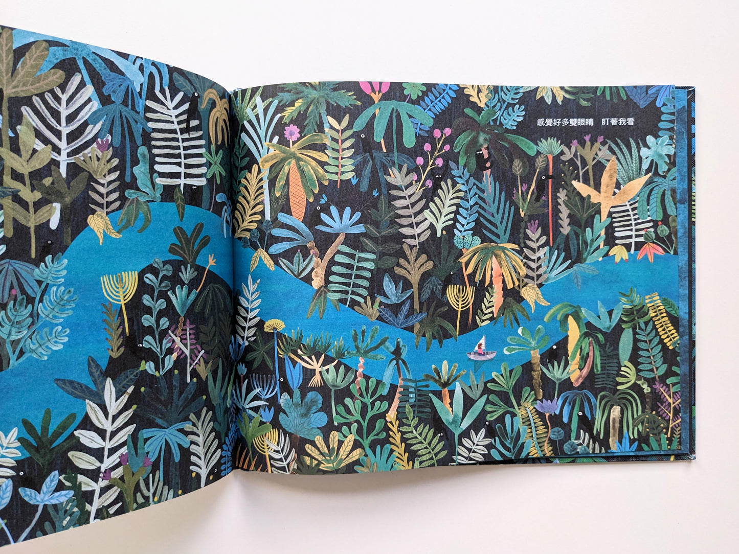 River (display book/90% new) 