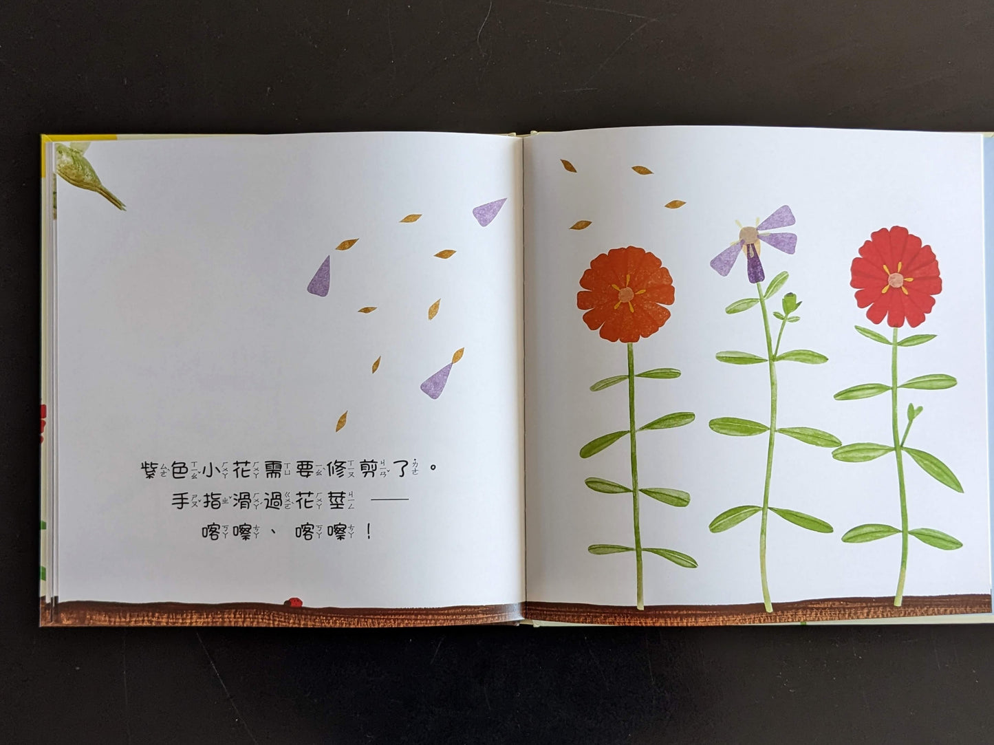 壓一壓、澆澆水, 魔法種子!（展示書）