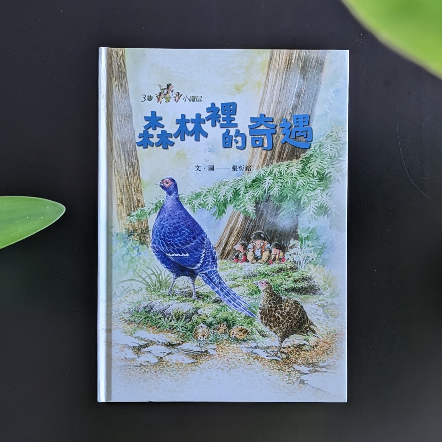 從森林到海洋－小島探險繪本