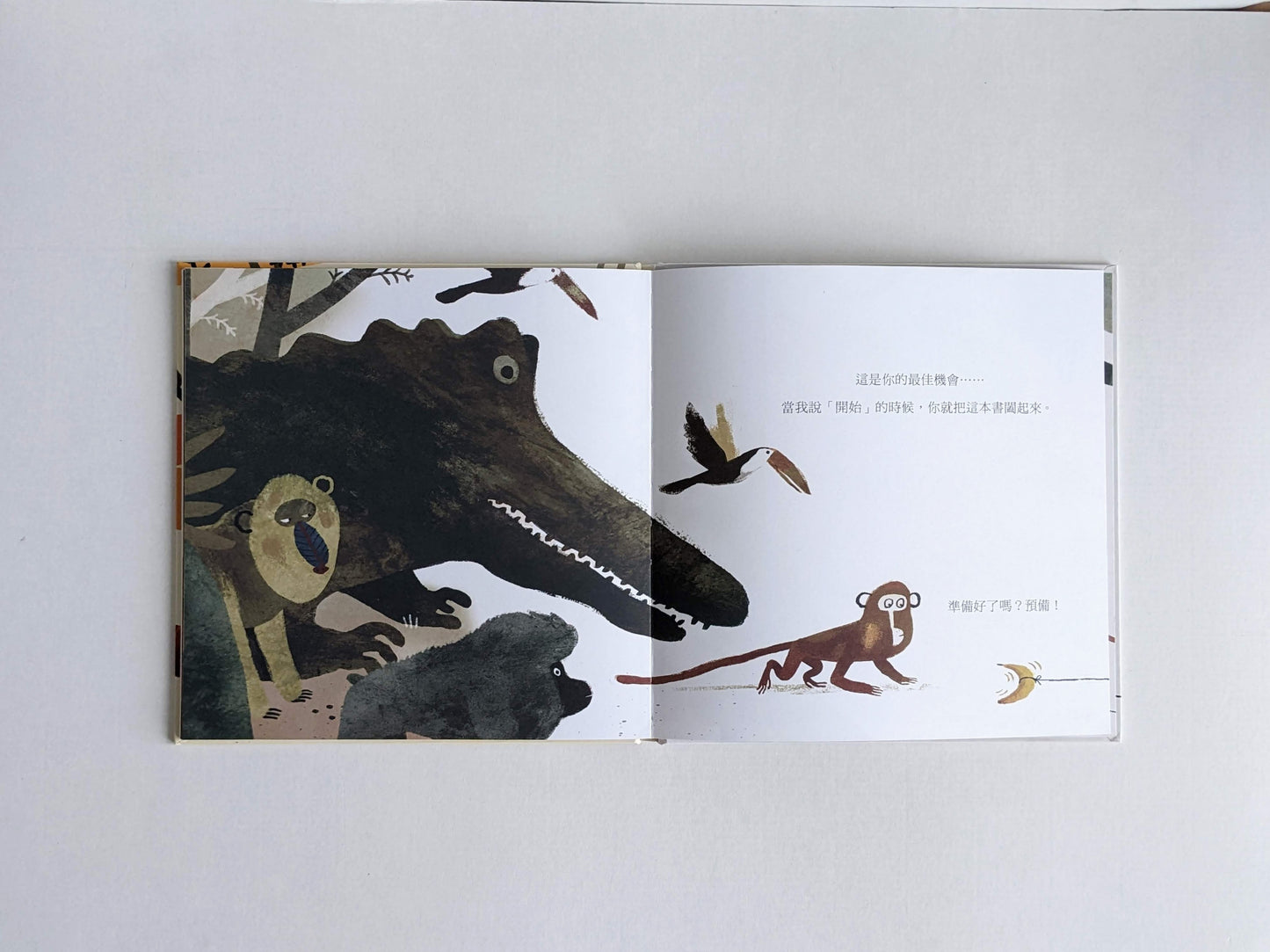 閱讀就是我的超能力－書的繪本