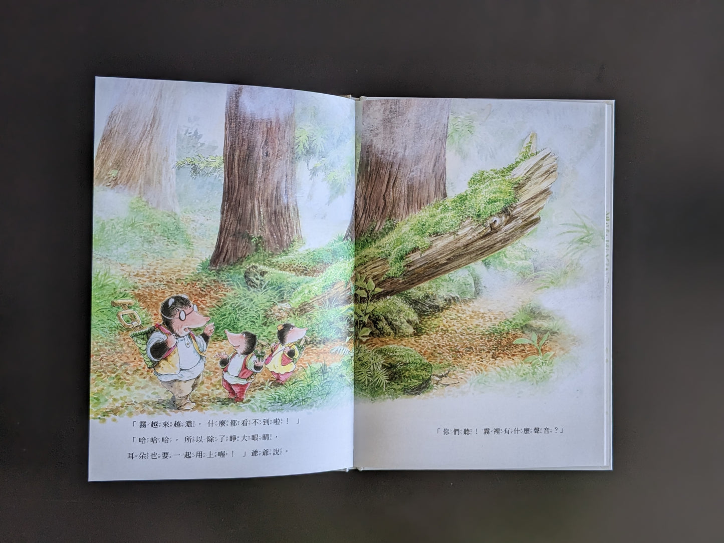 從森林到海洋－小島探險繪本