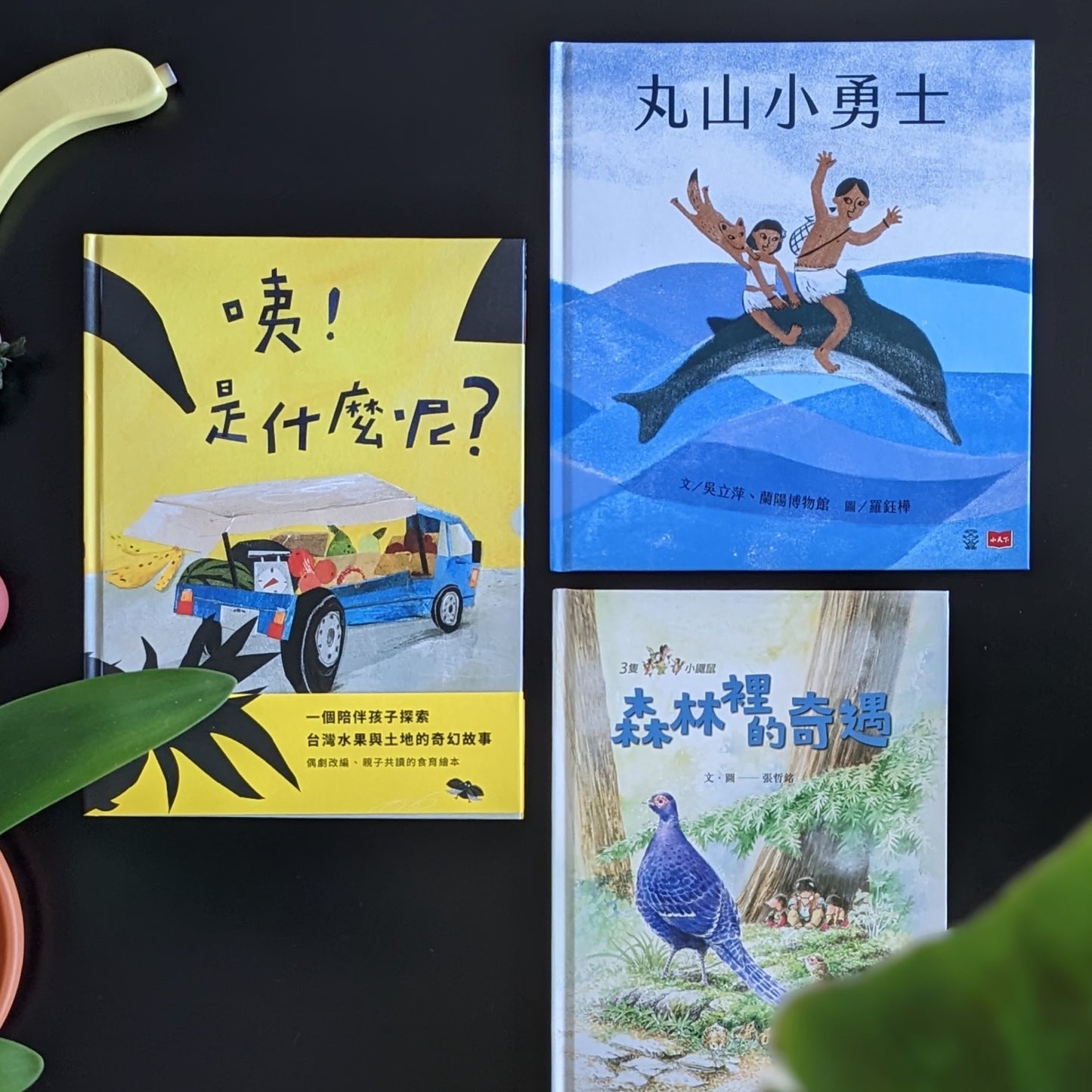 從森林到海洋－小島探險繪本